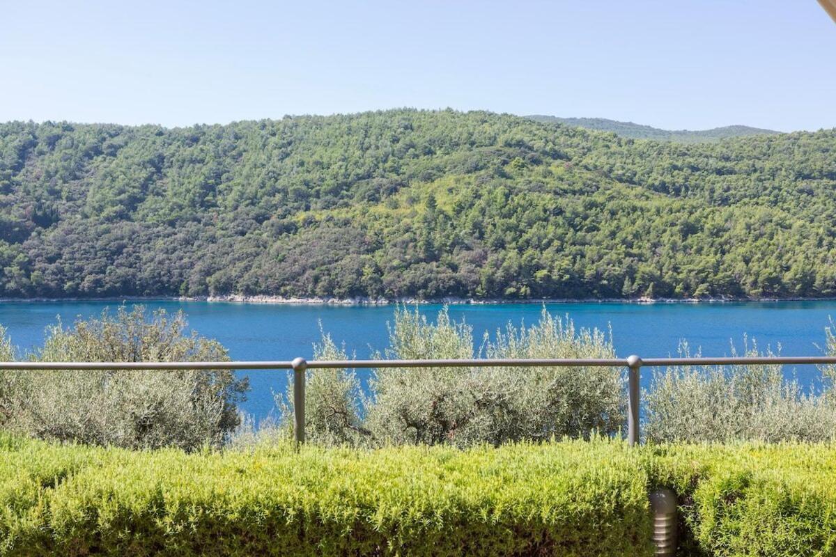 Istria Sea Side Apartment 210 & 209 ラビン 部屋 写真
